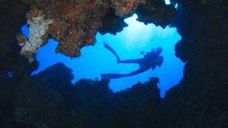 Another Thing Killing Coral Reefs: Our Poop